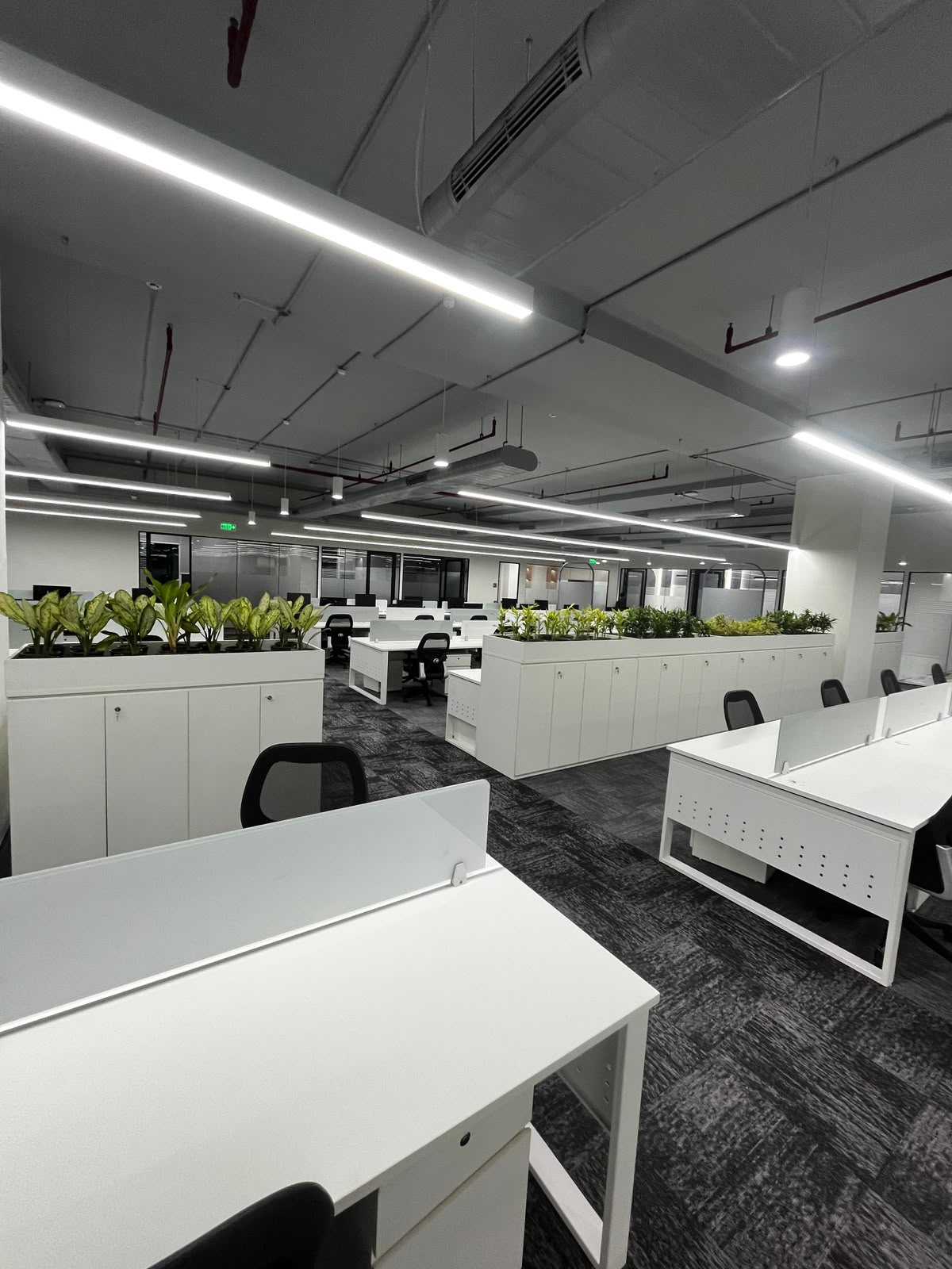 Technip office interior by Global Green, view 5